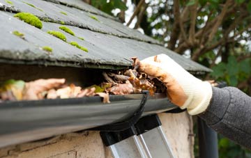 gutter cleaning Holy Cross